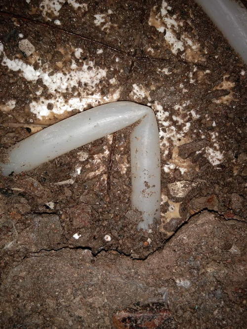 平昌堵点精准查找